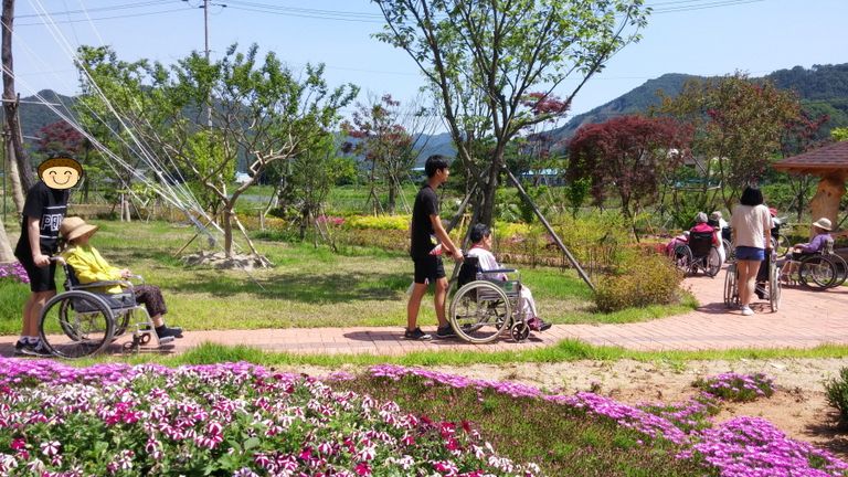 어르신 산책 도우미 및 잡초제거
